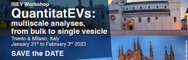 QuantitatEVs: Multiscale analyses, from bulk to single vesicle