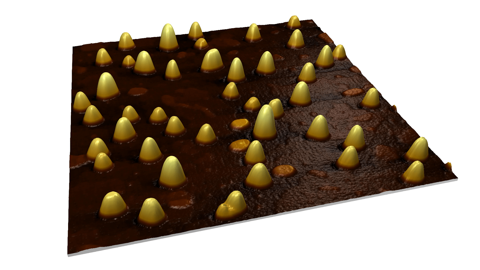 AFM/SPM, SEM, Optical profilers Analysis Software | Solutions for ...
