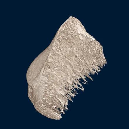 NEOSCAN N80 Scientific grade, high-resolution micro-CT scanner ...