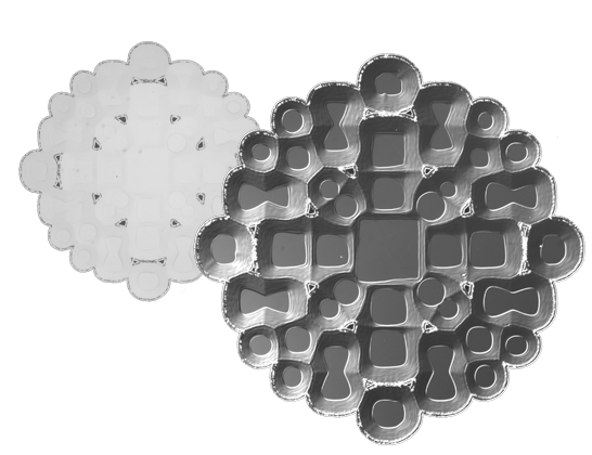 Osservazione Differential Interference Contrast (DIC)