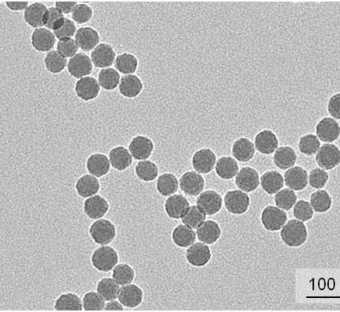 Nanobeads di silice fluorescenti per STED
