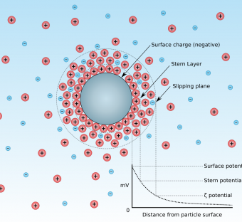 Zeta potential measurement