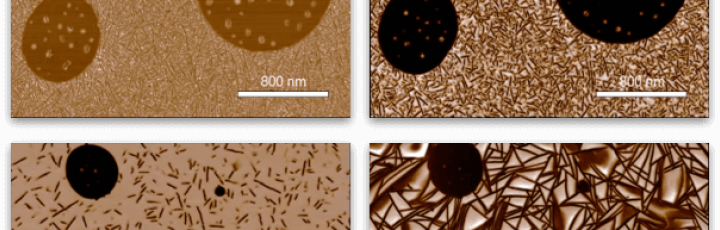 Probing Nanoscale Structure & Properties of Polymers: Advances in Atomic Force Microscopy