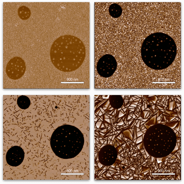 Probing Nanoscale Structure & Properties of Polymers: Advances in Atomic Force Microscopy