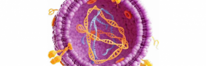 New Application Note - Isolating EVs From Urine Using qEV