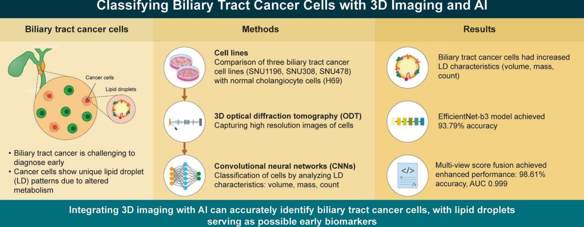 Nuova frontiera diagnostica per il cancro delle vie biliari: ODT (Optical Diffraction Tomography) + AI