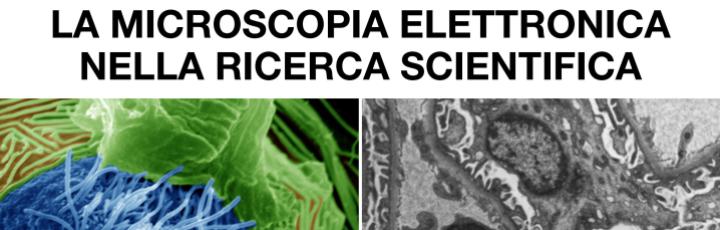 Convegno "La Microscopia Elettronica nella Ricerca Scientifica", organizzato dalla Università di Ferrara.