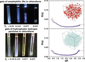 Chirinos-Flores et al., Gelation of amphiphilic janus particles in an apolar medium, Journal of Colloid and Interface Science, 590 (2021) 12-18.