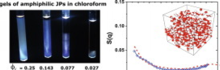 Chirinos-Flores et al., Gelation of amphiphilic janus particles in an apolar medium, Journal of Colloid and Interface Science, 590 (2021) 12-18.