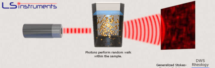 Diffusing Wave Spectroscopy
