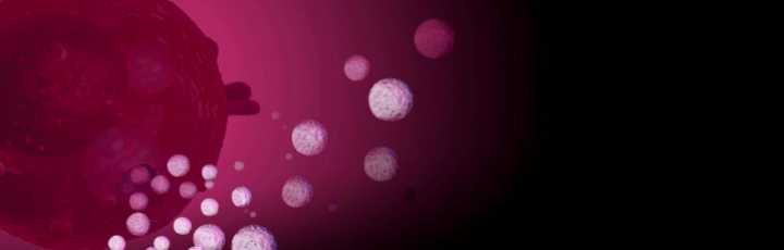 Bio-nanoparticles