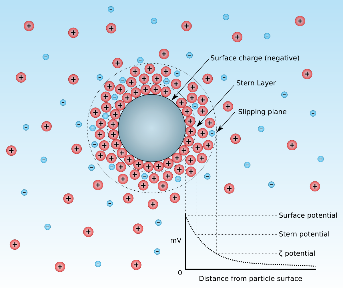 Zeta potential measurement Zeta potential measurement