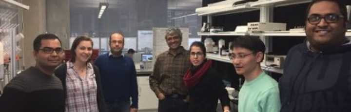 Lipid Coated Microbubbles - Interview with Mitra Aliabouzer, GWU
