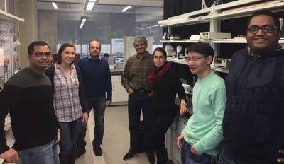 Lipid Coated Microbubbles - Interview with Mitra Aliabouzer, GWU