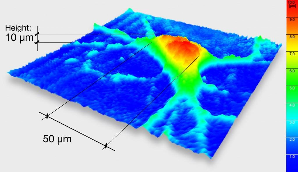 Immagine 3D di un neurone di topo ottenuta grazie alla microscopia olografica digitale. Crediti: Lyncée Tec