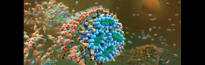 Webinar - "Microfluidic Strategies to Improve Encapsulation of Hydrophobic Drugs in Nanoparticles"