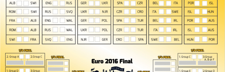 Nano-Observer Microscopio AFM lancia la sfida per Euro 2016!