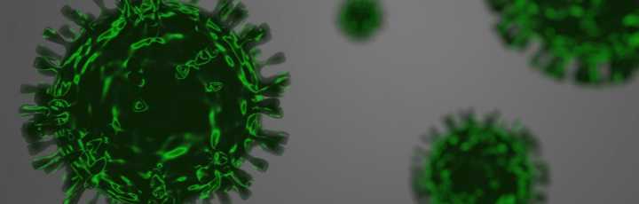 Webinar/Virtual Symposium - 27/05/2020 -  Applicazioni di microscopia a forza atomica AFM nella ricerca in virologia