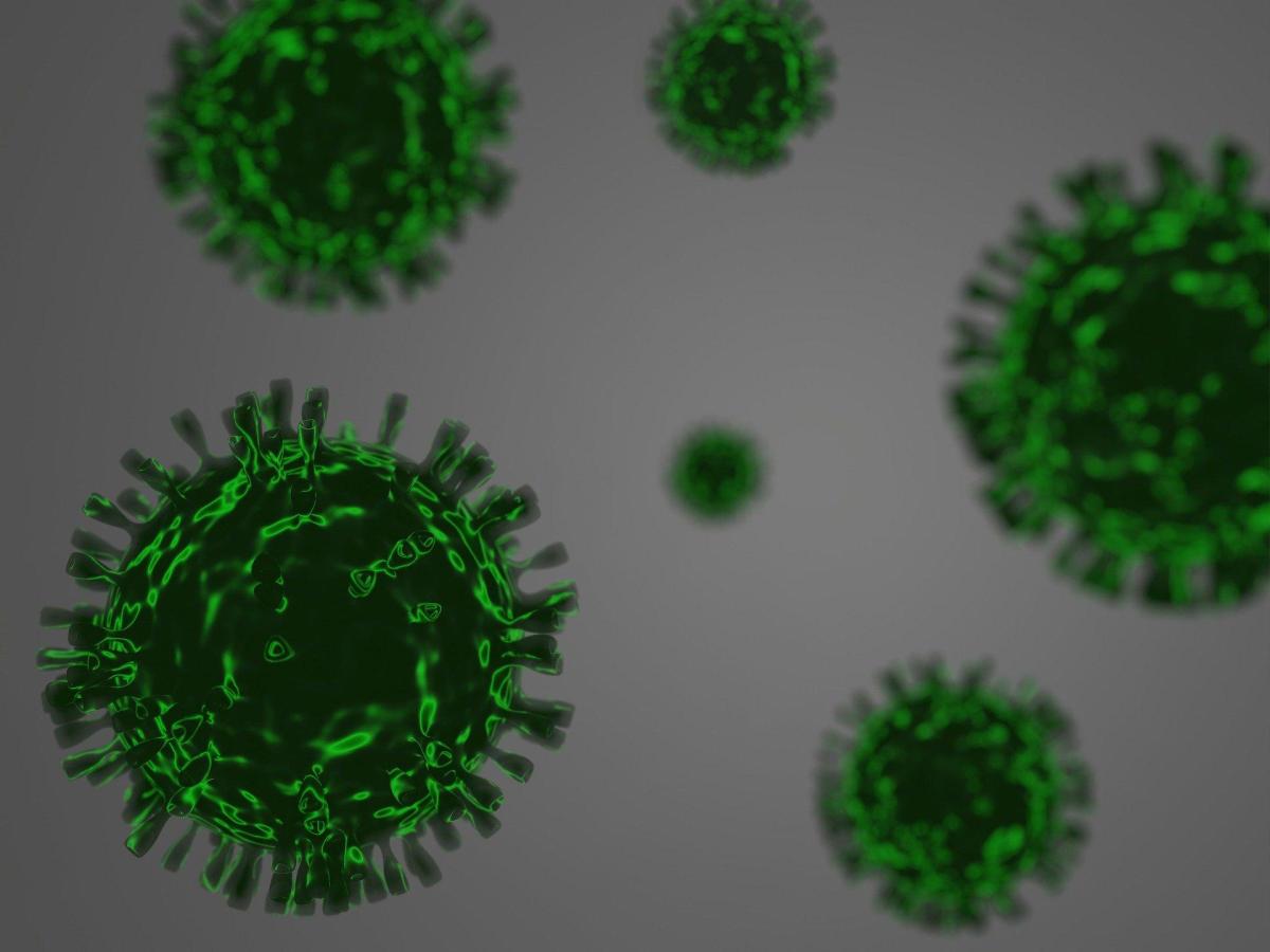 Webinar/Virtual Symposium - 27/05/2020 - Applications of Atomic Force Microscopy in Virology Research