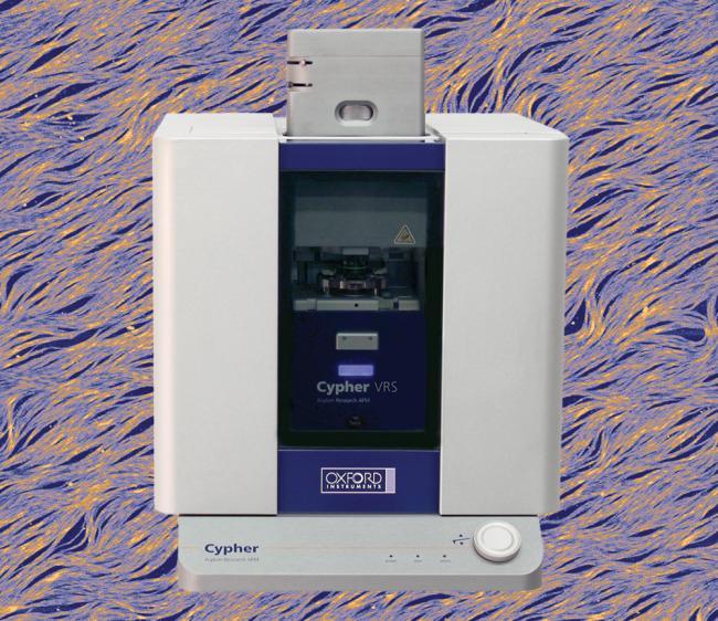 Cypher VRS video-rate AFM - Webinar - Webinar - Visualizzazione di reazioni e di assemblaggi biomolecolari