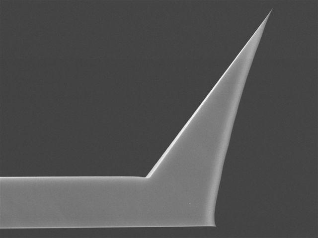 Punte AFM/SPM ACCESS-NC