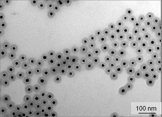 Nanoparticelle di silice Core-Shell