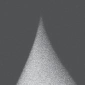 Mikromasch - HQ: Punte di silicio Non Contatto (NSC), Contatto (CSC) e a 4-Leve (XSC)