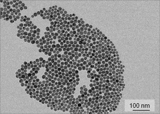 Monodispersed stable silver nanoparticles
