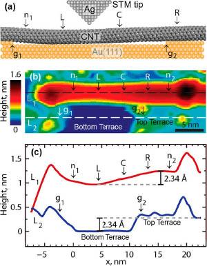 Geometry of a SWCNT adsorbed across a gap between two atomic steps on the Au(111) surface.