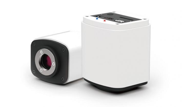 Invenio HDMI16MDPX - Telecamera HDMI per microscopio digitale, per misure e analisi