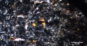 Immagine iperspettrale di nanoparticelle d&#039;oro in tessuto