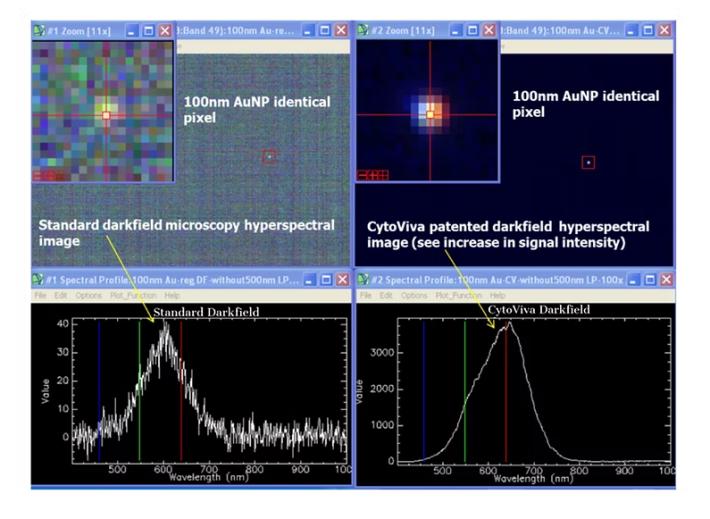 From this image, it can be seen that CytoViva&#039;s Enhanced Darkfield technology allows for a higher signal-to-noise ratio.
