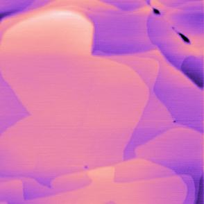 Immagine AFM di mica AU(111) con dimensione laterale di 1.6 μm x 1.6 μm, Z-scale di 5 nm