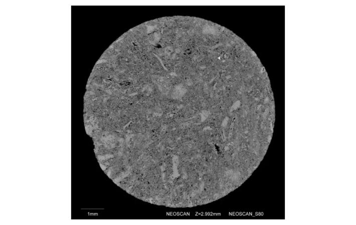 Fibra di Glass Nylon