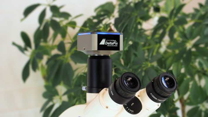 Invenio-10EIII - Microscope camera with 10 Megapixel Exmor(tm) sensor