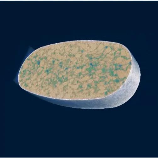 A scan of a pharmaceutical tablet at 9.8um pixel size reveals internal cracks, cracks between tablet and coating and the distribution of active ingredients.