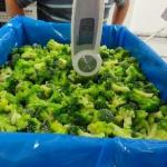 Broccoli - Sacchi da 20 kg - 900 kg/h da - 18 °C a - 3 °C/- 1 °C