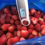 Fragole - Sacchi da 10 kg - 950 kg/h da -18 °C a -3 °C/-1 °C
