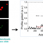 Nanobeads fluorescenti di 25nm diffusi su un vetrino Nanobeads fluorescenti di 25nm diffusi su un vetrino