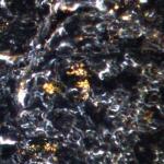 Figura 1: Immagine iperspettrale di nanoparticelle d'oro (AuNPs) nel tessuto