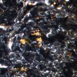 Figure 1: Hyperspectral Image of AuNPs in Tissue