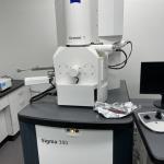 FE-SEM(FIB)