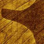 Stainless Steel, Resiscope mode, 50 um Stainless Steel, Resiscope mode, 50 um