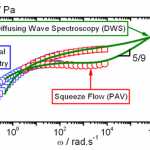 DWS enables viscoelasticity measurements on an unmatched frequency range.