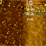Imaging ad alta risoluzione con Soft IC su (a) anelli di DNA da 50 nm e (b) copolimero a blocchi PS/PMMA con spaziatura di 38,6 nm