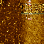 High resolution imaging with Soft IC on (a) 50 nm dna rings and (b) PS/PMMA block copolymer with 38.6 nm spacing