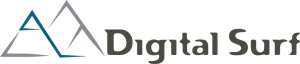 Digital Surf Logo