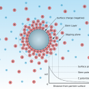Zeta potential measurement