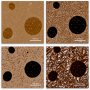 Probing Nanoscale Structure & Properties of Polymers: Advances in Atomic Force Microscopy