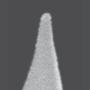 DPE Probes - Low Noise Conductive silicon probes